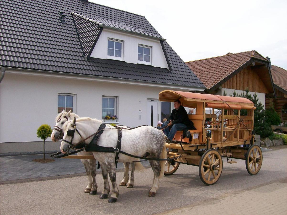 Bed and Breakfast Gastehaus „Haus Am Hahnenberg“ Marmagen Exteriér fotografie